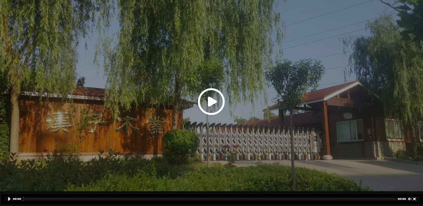 开云官方网站·开云登陆入口-开云online(中国)